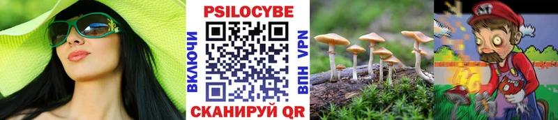 Галлюциногенные грибы прущие грибы  хочу   Шарья 